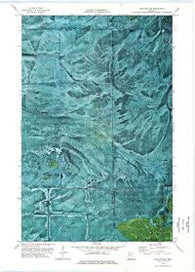 Wayland SW Minnesota Historical topographic map, 1:24000 scale, 7.5 X 7.5 Minute, Year 1973