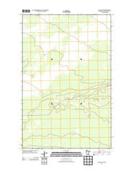 Wayland SE Minnesota Historical topographic map, 1:24000 scale, 7.5 X 7.5 Minute, Year 2013