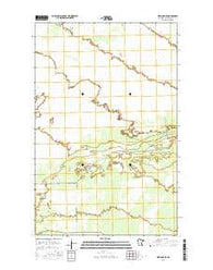 Wayland SE Minnesota Current topographic map, 1:24000 scale, 7.5 X 7.5 Minute, Year 2016