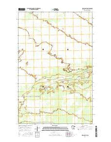 Wayland SE Minnesota Current topographic map, 1:24000 scale, 7.5 X 7.5 Minute, Year 2016