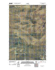 Wayland SW Minnesota Historical topographic map, 1:24000 scale, 7.5 X 7.5 Minute, Year 2010