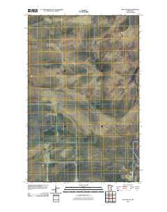 Wayland SW Minnesota Historical topographic map, 1:24000 scale, 7.5 X 7.5 Minute, Year 2010