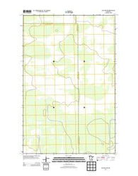 Wayland SW Minnesota Historical topographic map, 1:24000 scale, 7.5 X 7.5 Minute, Year 2013