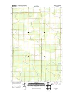 Wayland SW Minnesota Historical topographic map, 1:24000 scale, 7.5 X 7.5 Minute, Year 2013