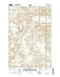 Westport Minnesota Current topographic map, 1:24000 scale, 7.5 X 7.5 Minute, Year 2016