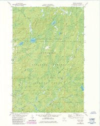 Whyte Minnesota Historical topographic map, 1:24000 scale, 7.5 X 7.5 Minute, Year 1982