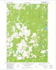 Wilbur Lake Minnesota Historical topographic map, 1:24000 scale, 7.5 X 7.5 Minute, Year 1981