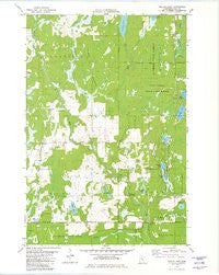 Wilbur Lake Minnesota Historical topographic map, 1:24000 scale, 7.5 X 7.5 Minute, Year 1981