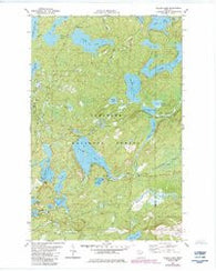 Wilson Lake Minnesota Historical topographic map, 1:24000 scale, 7.5 X 7.5 Minute, Year 1981