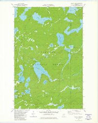 Wilson Lake Minnesota Historical topographic map, 1:24000 scale, 7.5 X 7.5 Minute, Year 1981