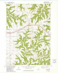 Wilson Minnesota Historical topographic map, 1:24000 scale, 7.5 X 7.5 Minute, Year 1980