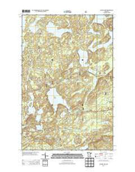 Wilson Lake Minnesota Historical topographic map, 1:24000 scale, 7.5 X 7.5 Minute, Year 2013