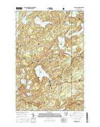 Wilson Lake Minnesota Current topographic map, 1:24000 scale, 7.5 X 7.5 Minute, Year 2016