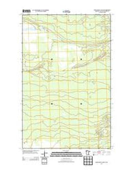 Winter Road Lake SE Minnesota Historical topographic map, 1:24000 scale, 7.5 X 7.5 Minute, Year 2013