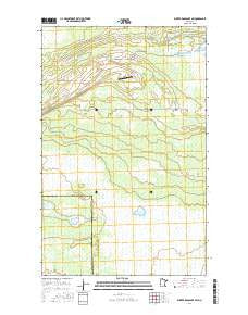 Winter Road Lake SW Minnesota Current topographic map, 1:24000 scale, 7.5 X 7.5 Minute, Year 2016