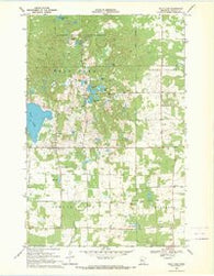 Wolf Lake Minnesota Historical topographic map, 1:24000 scale, 7.5 X 7.5 Minute, Year 1969