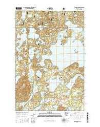Woman Lake Minnesota Current topographic map, 1:24000 scale, 7.5 X 7.5 Minute, Year 2016