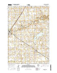 Wood Lake Minnesota Current topographic map, 1:24000 scale, 7.5 X 7.5 Minute, Year 2016