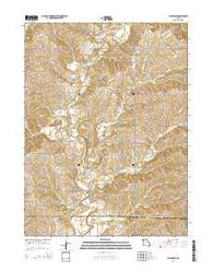 Allendale Missouri Current topographic map, 1:24000 scale, 7.5 X 7.5 Minute, Year 2014