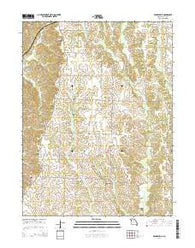 Barnesville Missouri Current topographic map, 1:24000 scale, 7.5 X 7.5 Minute, Year 2014