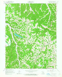 Belew Creek Missouri Historical topographic map, 1:24000 scale, 7.5 X 7.5 Minute, Year 1954