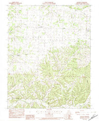 Bethpage Missouri Historical topographic map, 1:24000 scale, 7.5 X 7.5 Minute, Year 1982