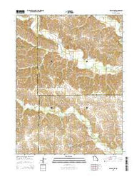 Bible Grove Missouri Current topographic map, 1:24000 scale, 7.5 X 7.5 Minute, Year 2015