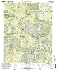 Bradleyville Missouri Historical topographic map, 1:24000 scale, 7.5 X 7.5 Minute, Year 2004