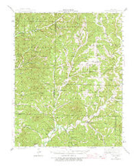 Bradleyville Missouri Historical topographic map, 1:62500 scale, 15 X 15 Minute, Year 1943