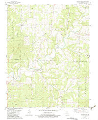 Brownbranch Missouri Historical topographic map, 1:24000 scale, 7.5 X 7.5 Minute, Year 1982
