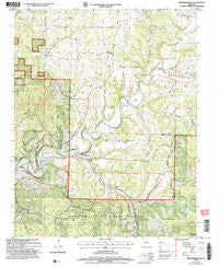 Brownbranch Missouri Historical topographic map, 1:24000 scale, 7.5 X 7.5 Minute, Year 2004