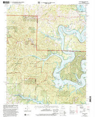 Cape Fair Missouri Historical topographic map, 1:24000 scale, 7.5 X 7.5 Minute, Year 1999