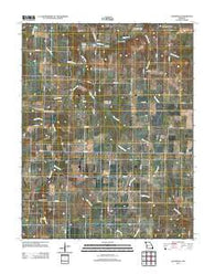 Cedarville Missouri Historical topographic map, 1:24000 scale, 7.5 X 7.5 Minute, Year 2011