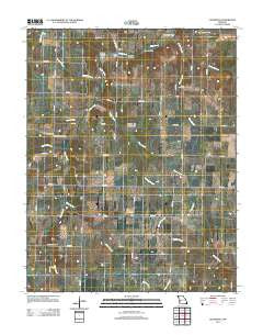 Cedarville Missouri Historical topographic map, 1:24000 scale, 7.5 X 7.5 Minute, Year 2011