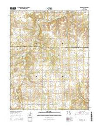 Cedarville Missouri Current topographic map, 1:24000 scale, 7.5 X 7.5 Minute, Year 2015