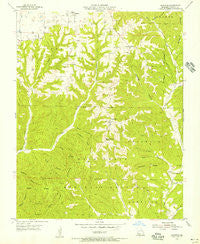 Chadwick Missouri Historical topographic map, 1:24000 scale, 7.5 X 7.5 Minute, Year 1955