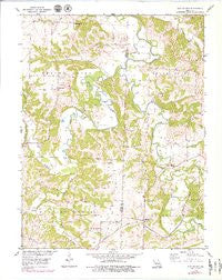 Clifton City Missouri Historical topographic map, 1:24000 scale, 7.5 X 7.5 Minute, Year 1953
