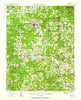 Couch Missouri Historical topographic map, 1:62500 scale, 15 X 15 Minute, Year 1944