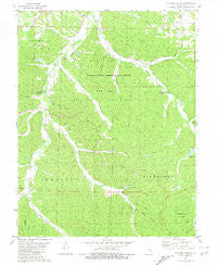 Cyclone Hollow Missouri Historical topographic map, 1:24000 scale, 7.5 X 7.5 Minute, Year 1981