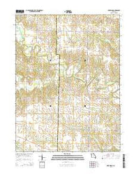 Deer Ridge Missouri Current topographic map, 1:24000 scale, 7.5 X 7.5 Minute, Year 2014