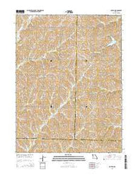 Dotham Missouri Current topographic map, 1:24000 scale, 7.5 X 7.5 Minute, Year 2014