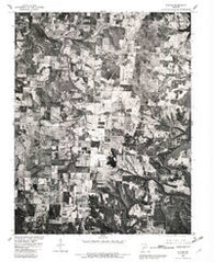 Elkton Missouri Historical topographic map, 1:24000 scale, 7.5 X 7.5 Minute, Year 1980