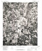 Elkton Missouri Historical topographic map, 1:24000 scale, 7.5 X 7.5 Minute, Year 1980