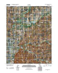 Forest Green Missouri Historical topographic map, 1:24000 scale, 7.5 X 7.5 Minute, Year 2012