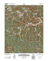 Fremont Missouri Historical topographic map, 1:24000 scale, 7.5 X 7.5 Minute, Year 2011