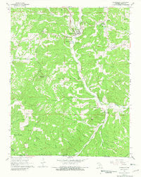 Gainesville Missouri Historical topographic map, 1:24000 scale, 7.5 X 7.5 Minute, Year 1968