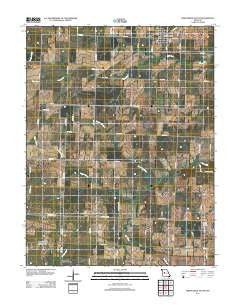 Green Ridge South Missouri Historical topographic map, 1:24000 scale, 7.5 X 7.5 Minute, Year 2011