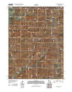 Hopkins SW Missouri Historical topographic map, 1:24000 scale, 7.5 X 7.5 Minute, Year 2010
