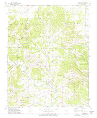 Jenkins Missouri Historical topographic map, 1:24000 scale, 7.5 X 7.5 Minute, Year 1974