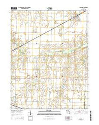 Laddonia Missouri Current topographic map, 1:24000 scale, 7.5 X 7.5 Minute, Year 2015